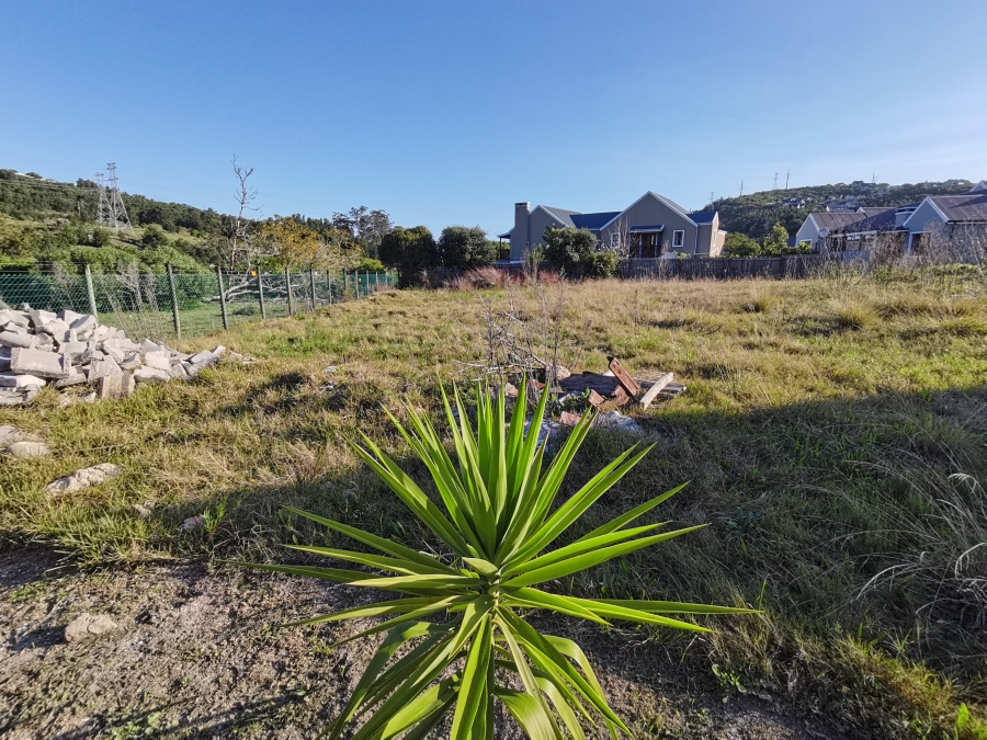 0 Bedroom Property for Sale in Green Pastures Western Cape